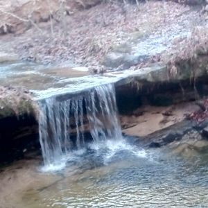 Meet your Posher, Jessie